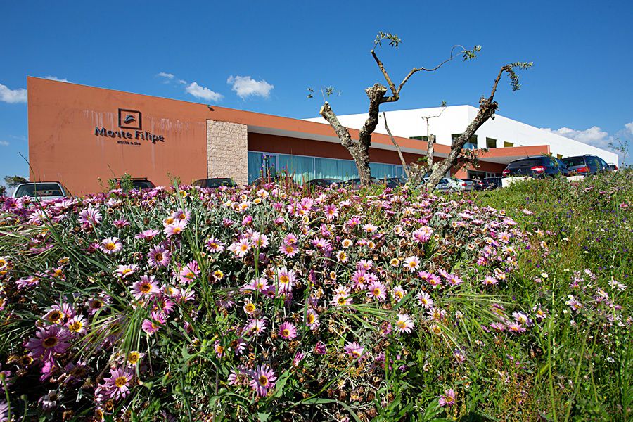 Monte Filipe Hotel Alpalhão Extérieur photo